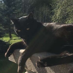 Meet your Posher, Evelyn